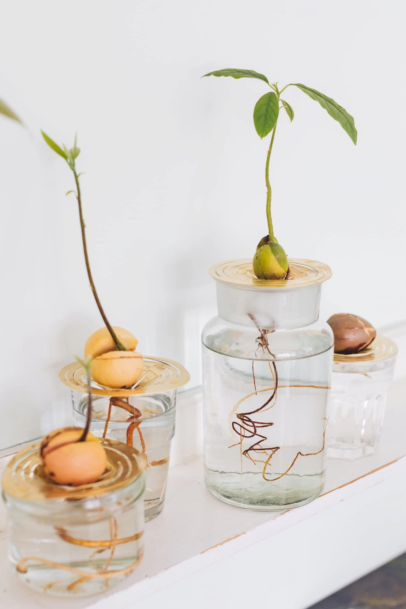 "Helios" Wachstumsscheibe Aus Messing – Bild 4