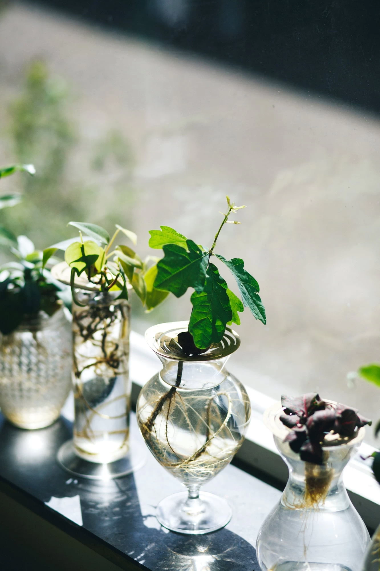 "Helios" Wachstumsscheibe Aus Messing – Bild 12