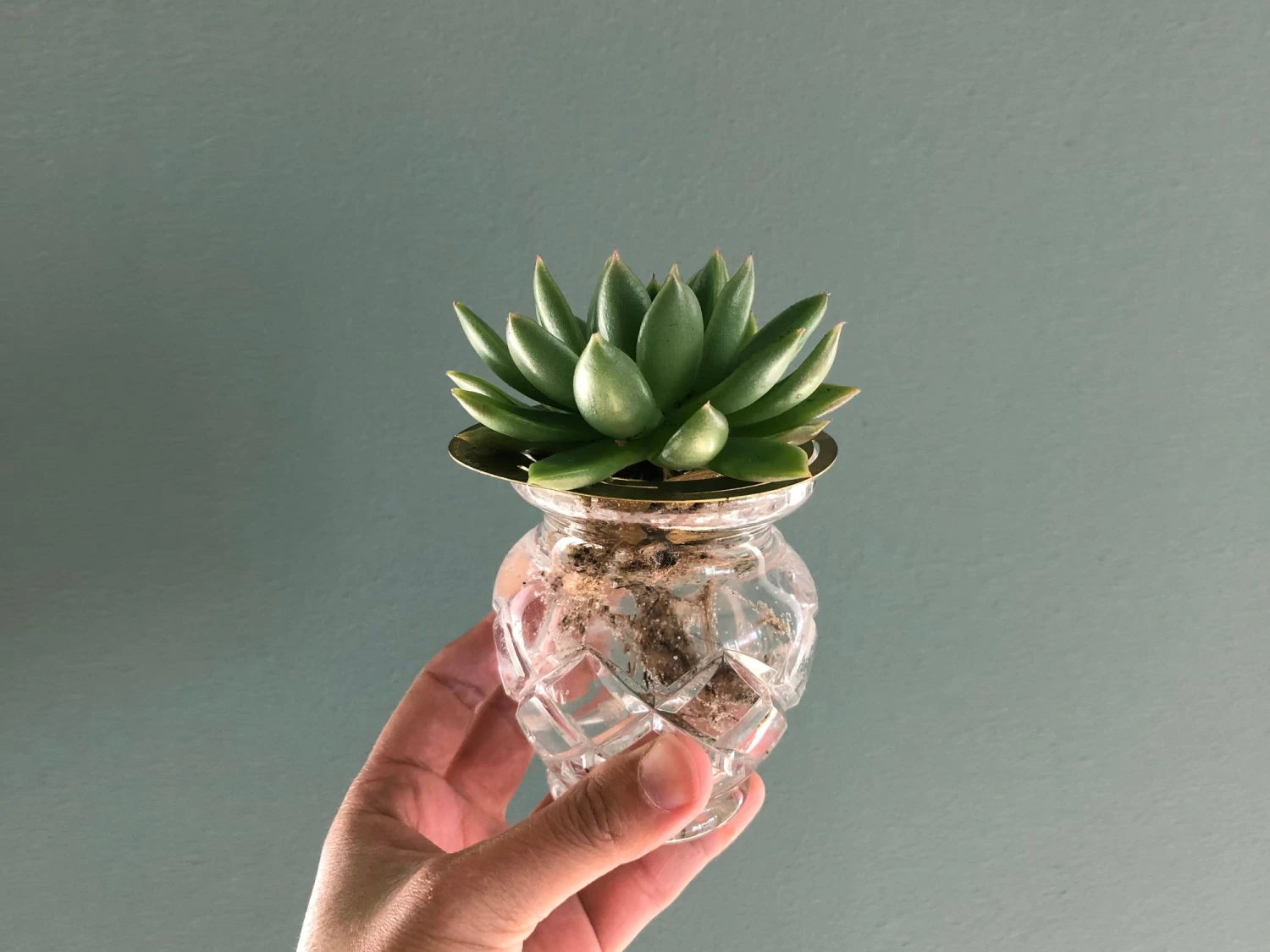 "Helios" Wachstumsscheibe Aus Messing – Bild 13