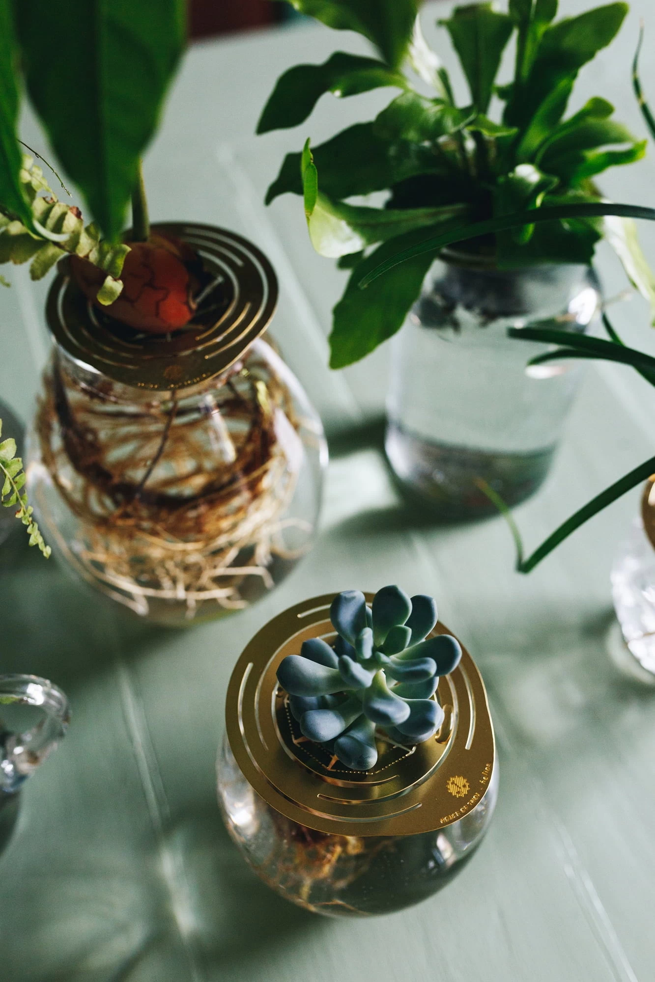 "Helios" Wachstumsscheibe Aus Messing – Bild 10