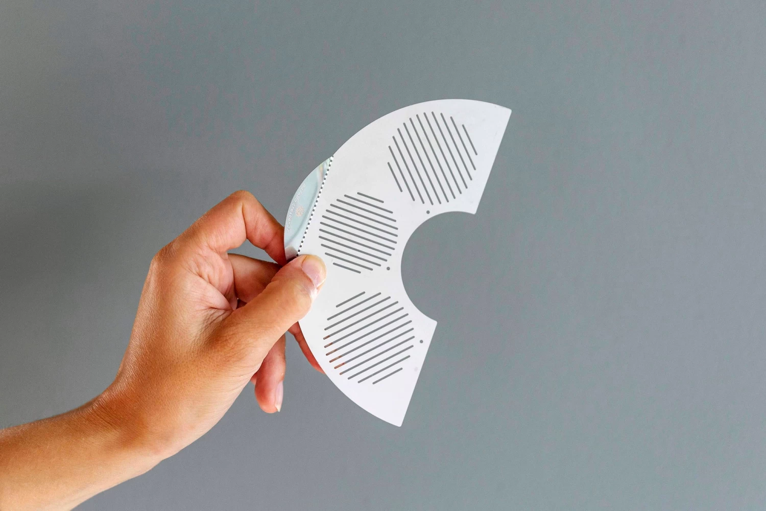 "Patella Crescenda" - Natürliches Keimset – Bild 2