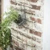 Wandspalier Für Töpfe & Kletterpflanzen