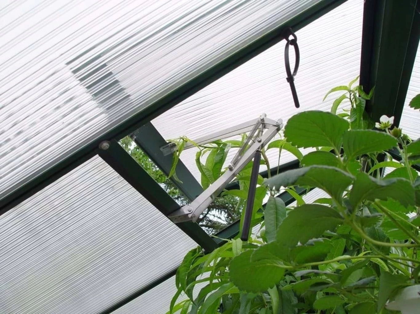 Juliana Fensteröffner Für Gewächshaus - Univent Automatisch – Bild 3