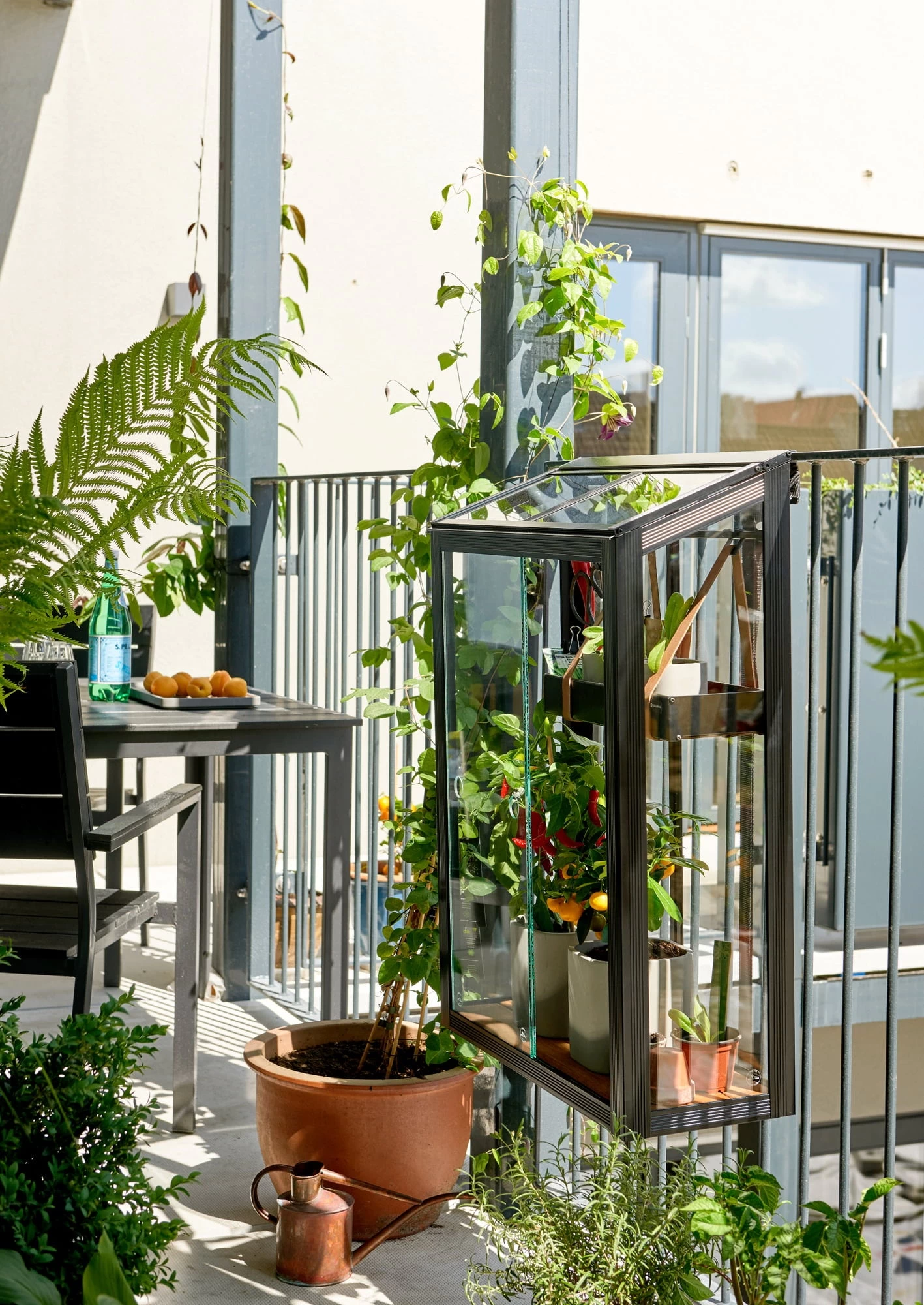Juliana Gewächshaus Urban Für Den Ballkon – Bild 3