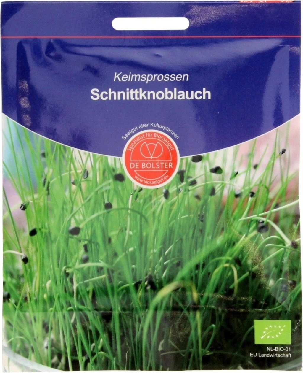 Keimsprossen "Schnittknoblauch", 20 G – Bild 2