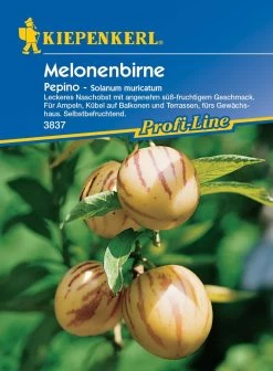 Melonenbirne "Pepino"