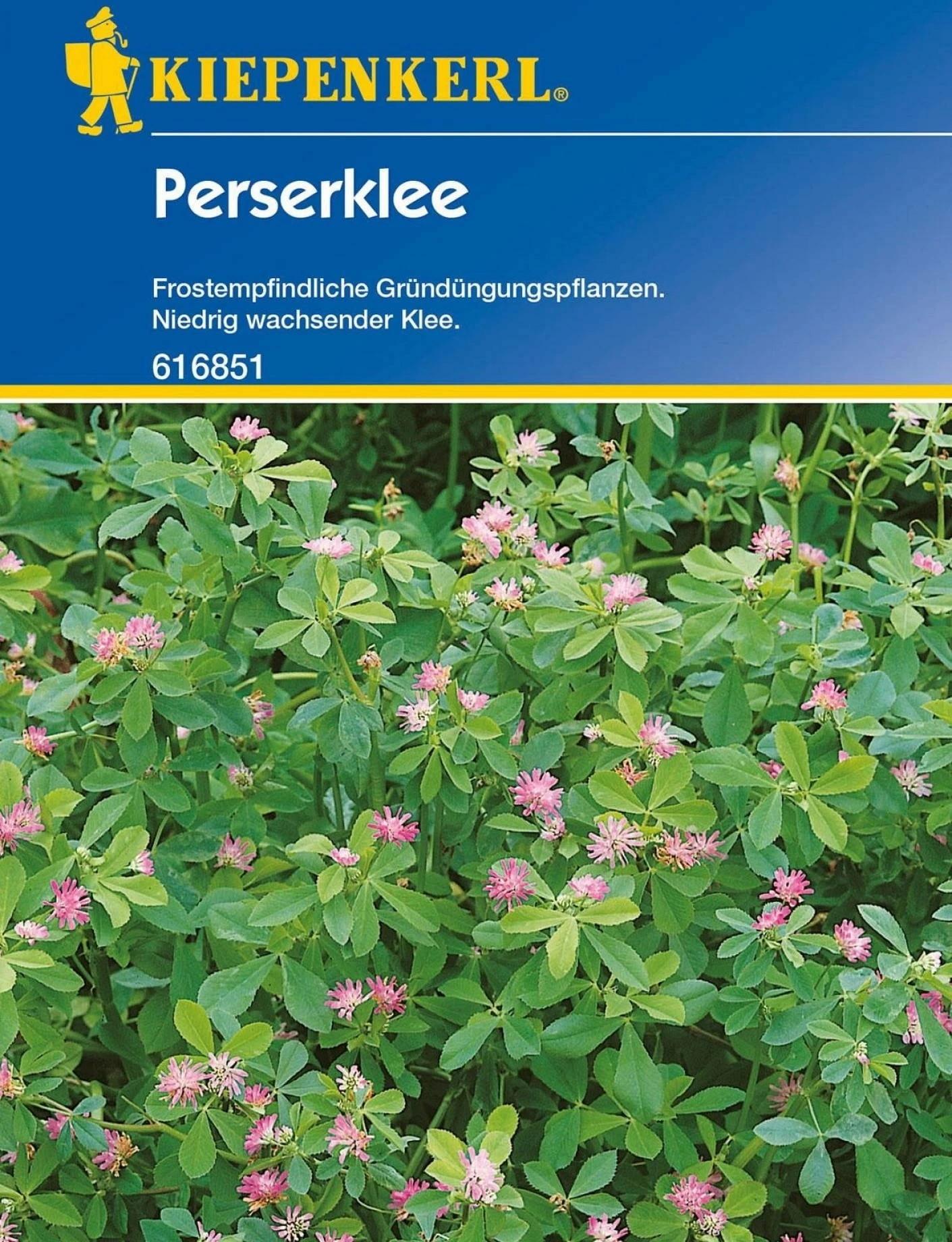 Perserklee "Gorby" â Bild 2