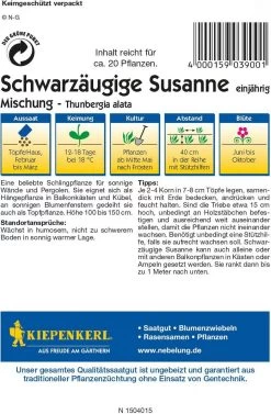 SchwarzÀugige Susanne "Mischung"