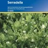Serradella