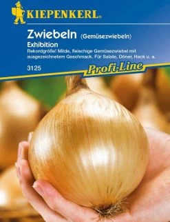 Zwiebeln "Exhibition"