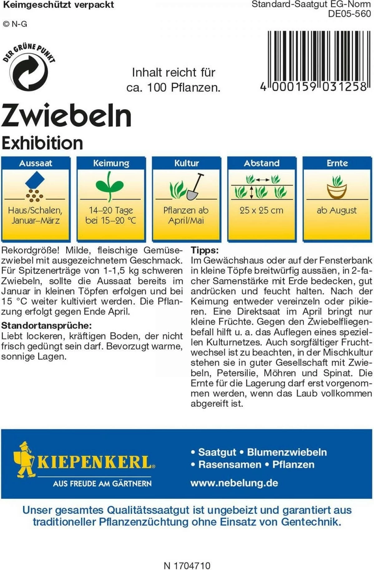 Zwiebeln "Exhibition" â Bild 2