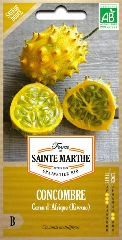 Horngurke "Cornu D´Afrique (Kiwano)"