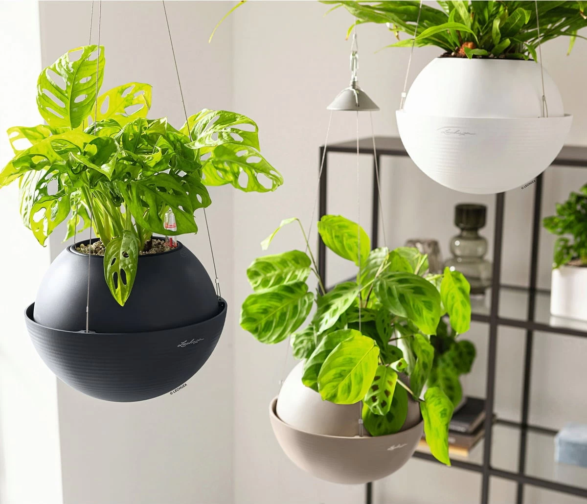 LECHUZA Blumenampel BOLA Color 32, Sandbraun – Bild 2