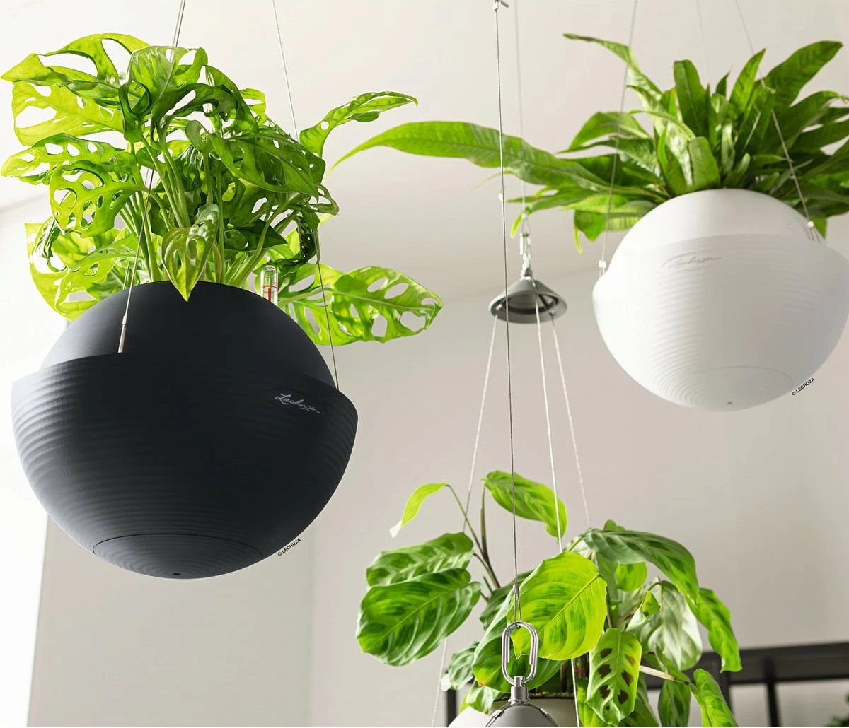 LECHUZA Blumenampel BOLA Color 32, Sandbraun – Bild 5