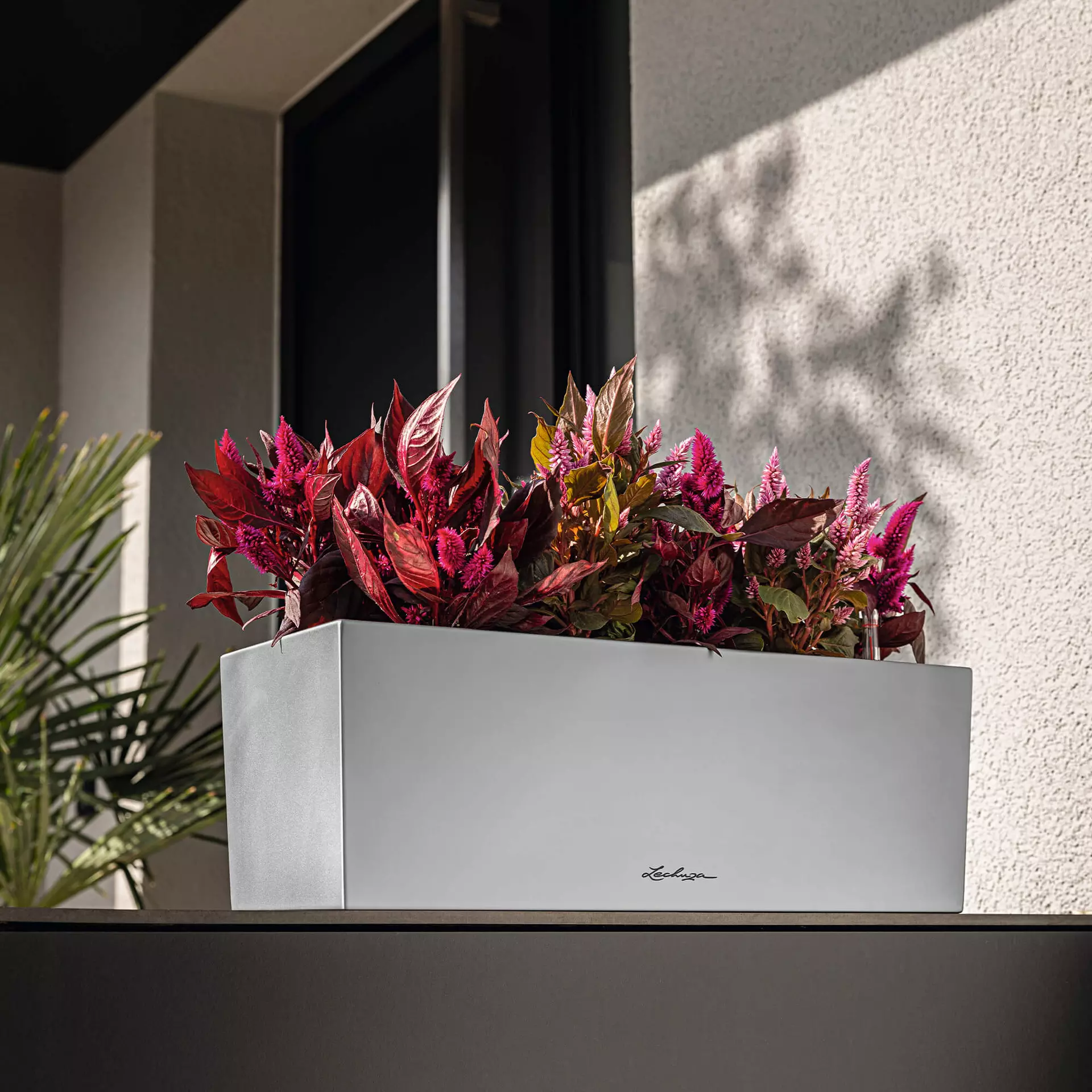 LECHUZA Pflanzgefäß BALCONERA Steel, 50 Cm – Bild 8