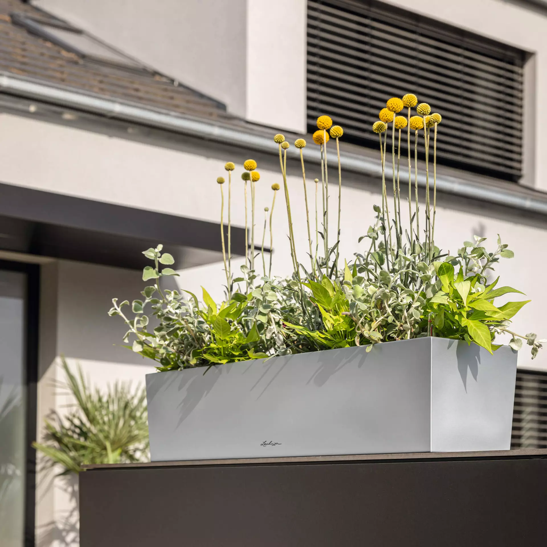 LECHUZA Pflanzgefäß BALCONERA Steel, 50 Cm – Bild 5