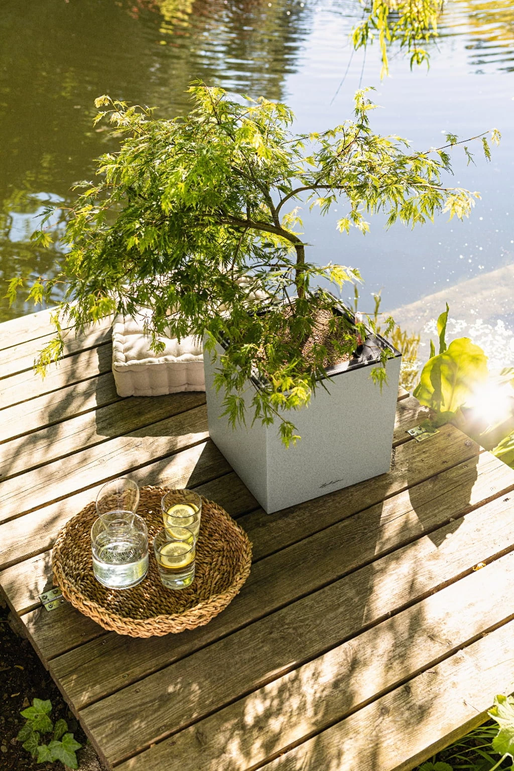 LECHUZA Pflanzgefäß CANTO Stone 30 LED Low, Steingrau – Bild 8