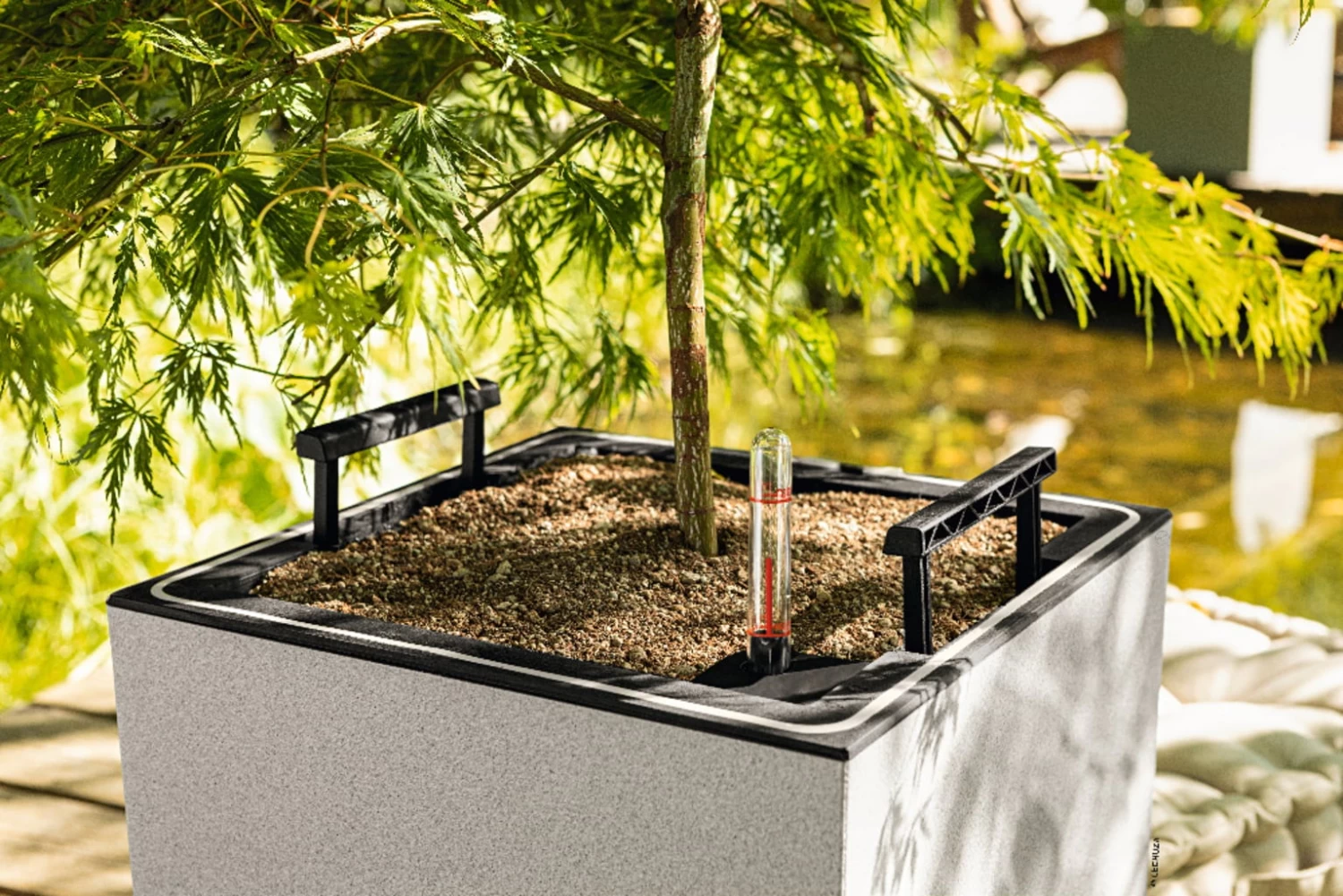 LECHUZA Pflanzgefäß CANTO Stone 30 LED Low, Steingrau – Bild 6