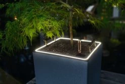 LECHUZA Pflanzgefäß CANTO Stone 40 LED Low, Graphitschwarz