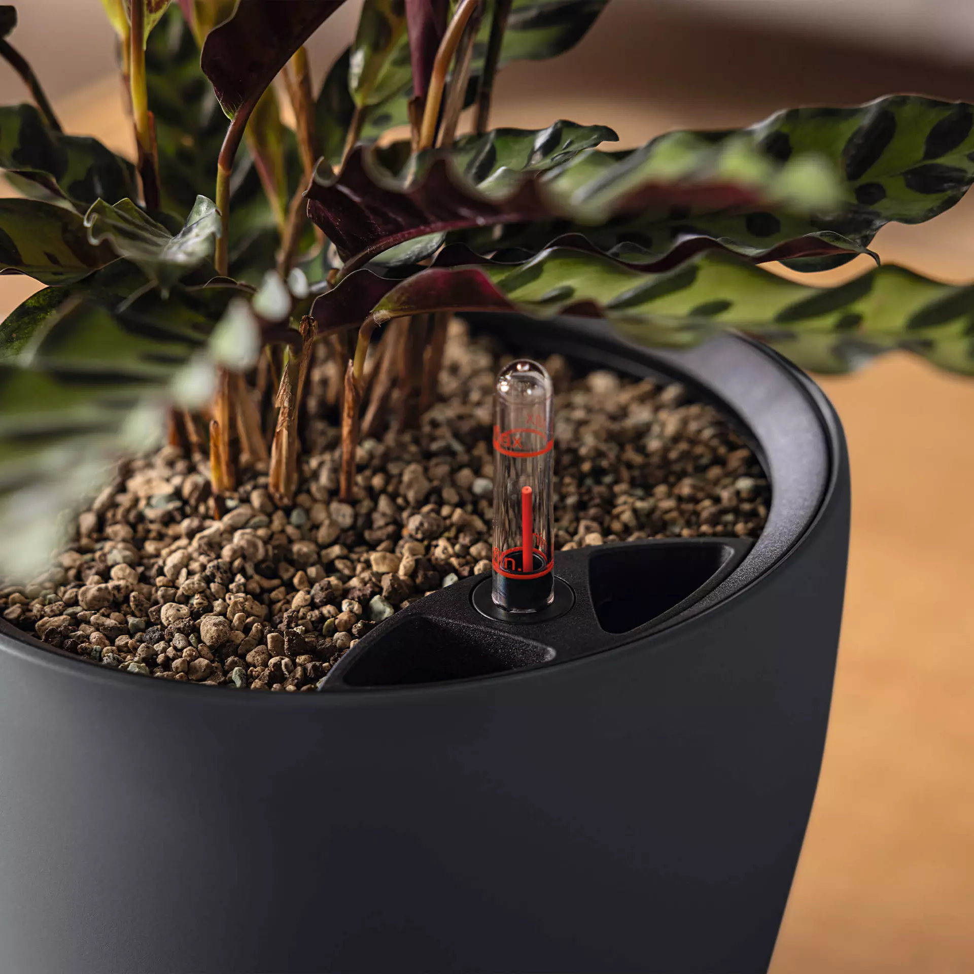 LECHUZA Pflanzgefäß CLASSICO Color LS 35, Sandbraun – Bild 8