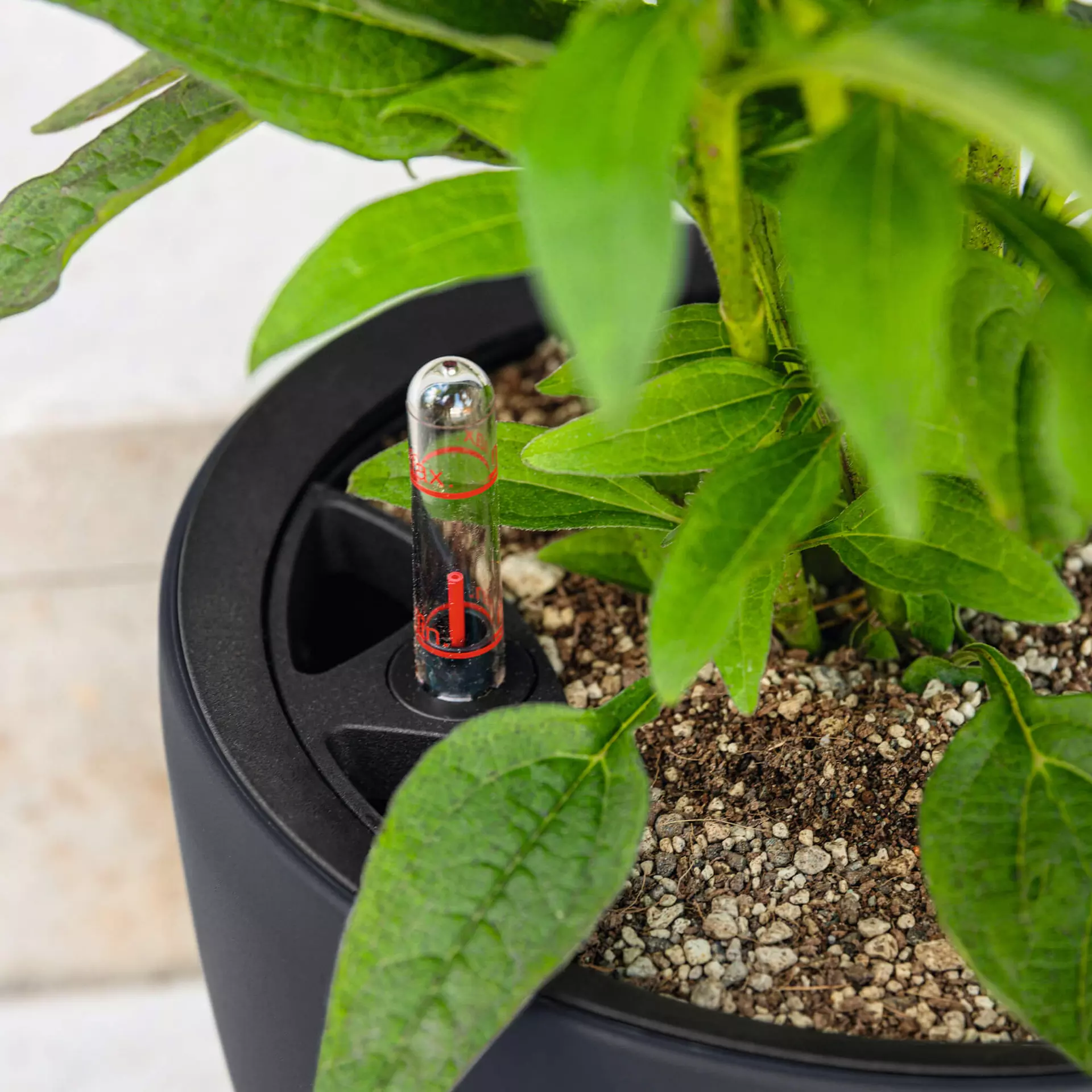 LECHUZA Pflanzgefäß CLASSICO Color LS 43, Sandbraun – Bild 7