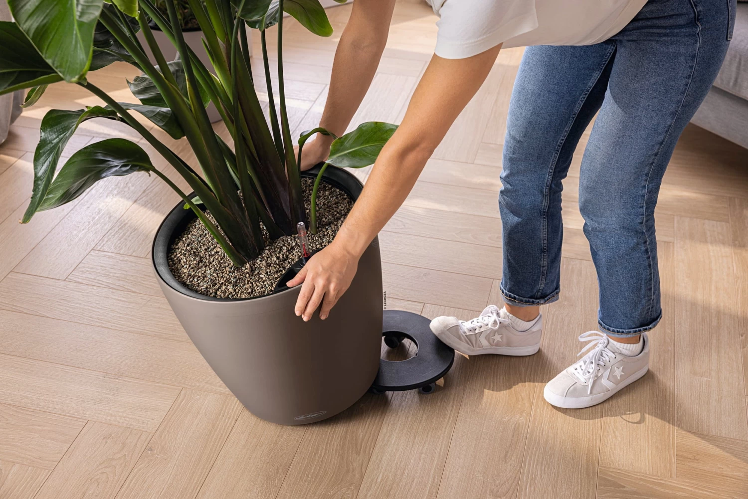 LECHUZA Pflanzgefäß CLASSICO Color LS 43, Sandbraun – Bild 4