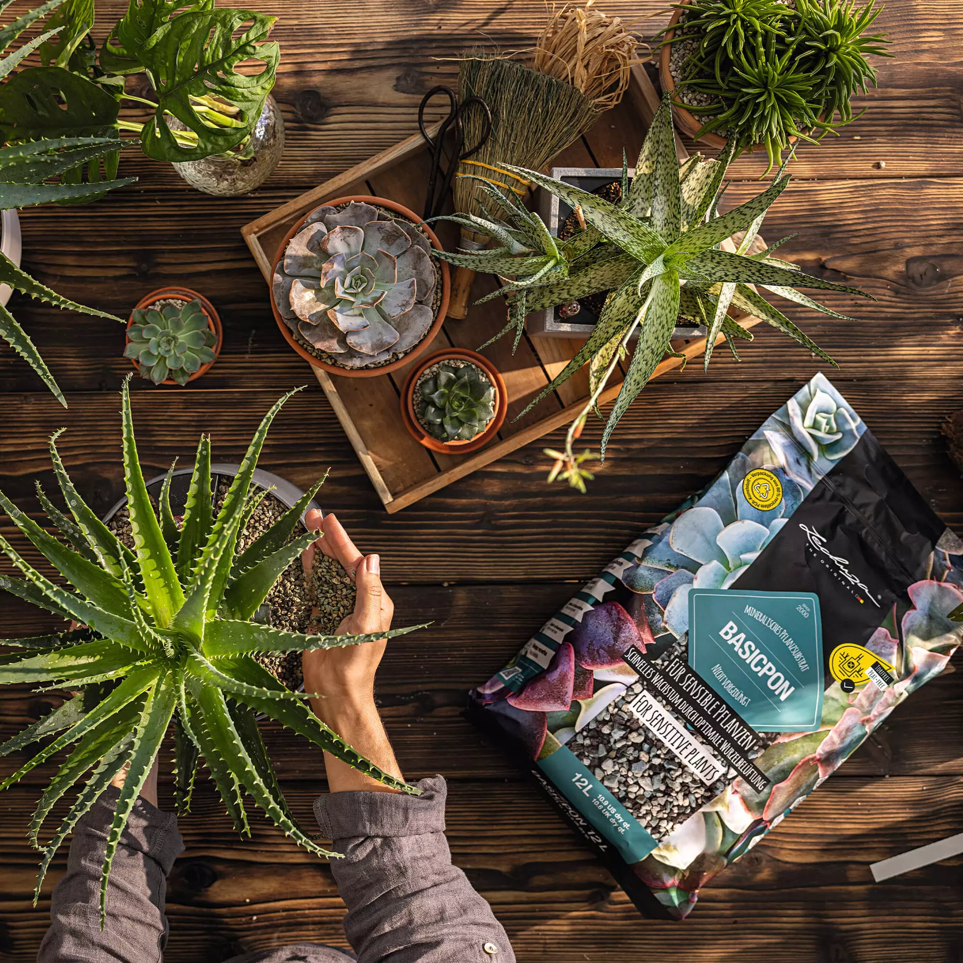 LECHUZA Substrat Basic-PON, 12 Liter