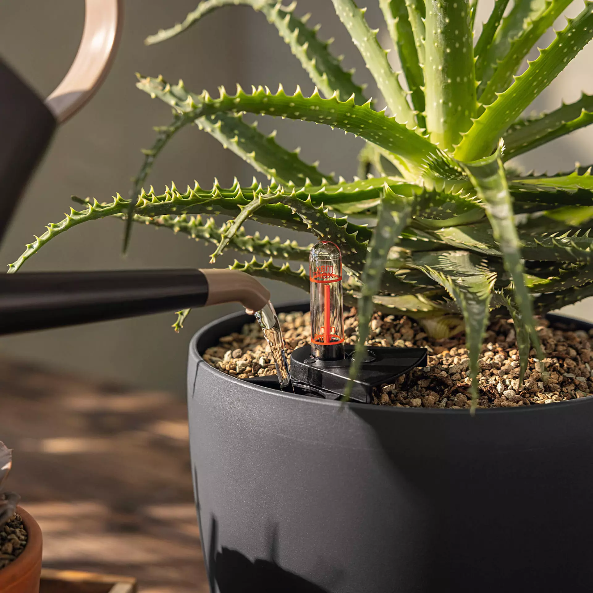 LECHUZA Substrat Basic-PON, 12 Liter – Bild 3