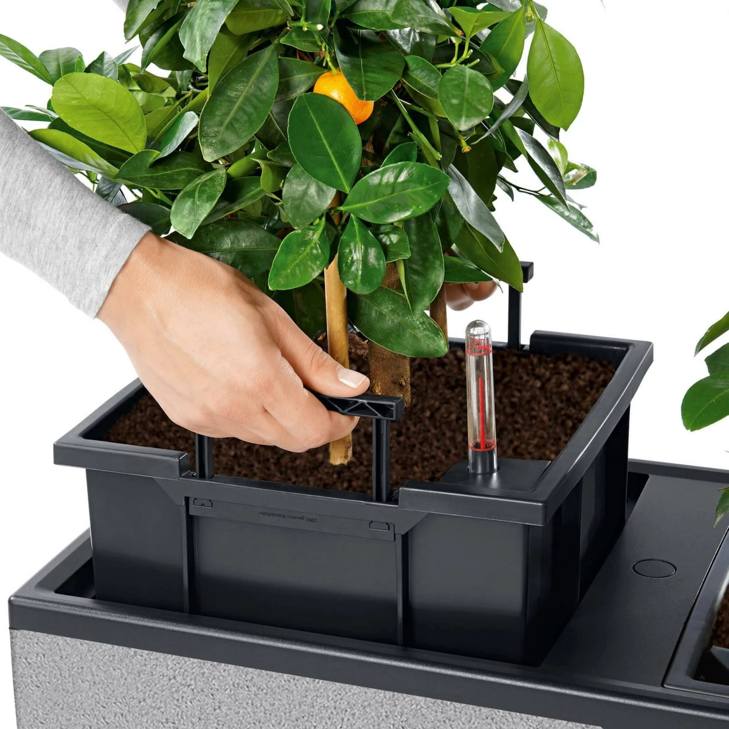 LECHUZA Pflanzgefäß TRIO "Stone" 40, Steingrau – Bild 5