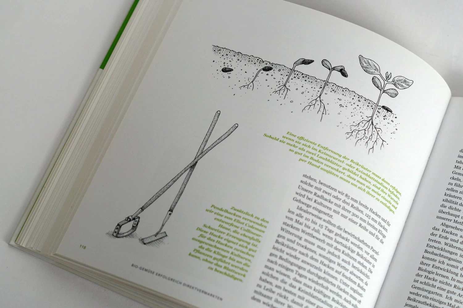 Bio-Gemüse Erfolgreich Direktvermarkten – Bild 7