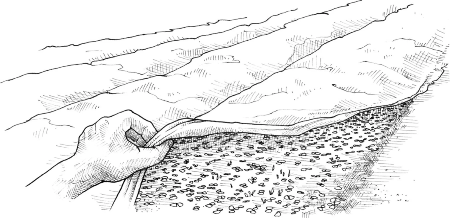 Bio-Gemüse Erfolgreich Direktvermarkten – Bild 2