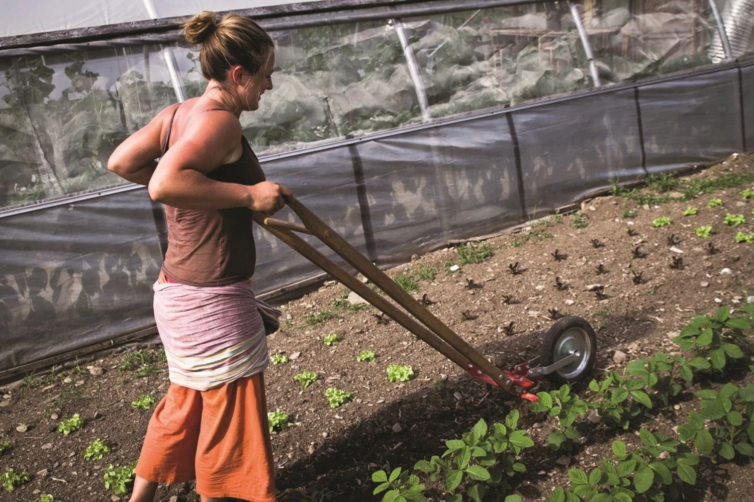 Bio-Gemüse Erfolgreich Direktvermarkten – Bild 9