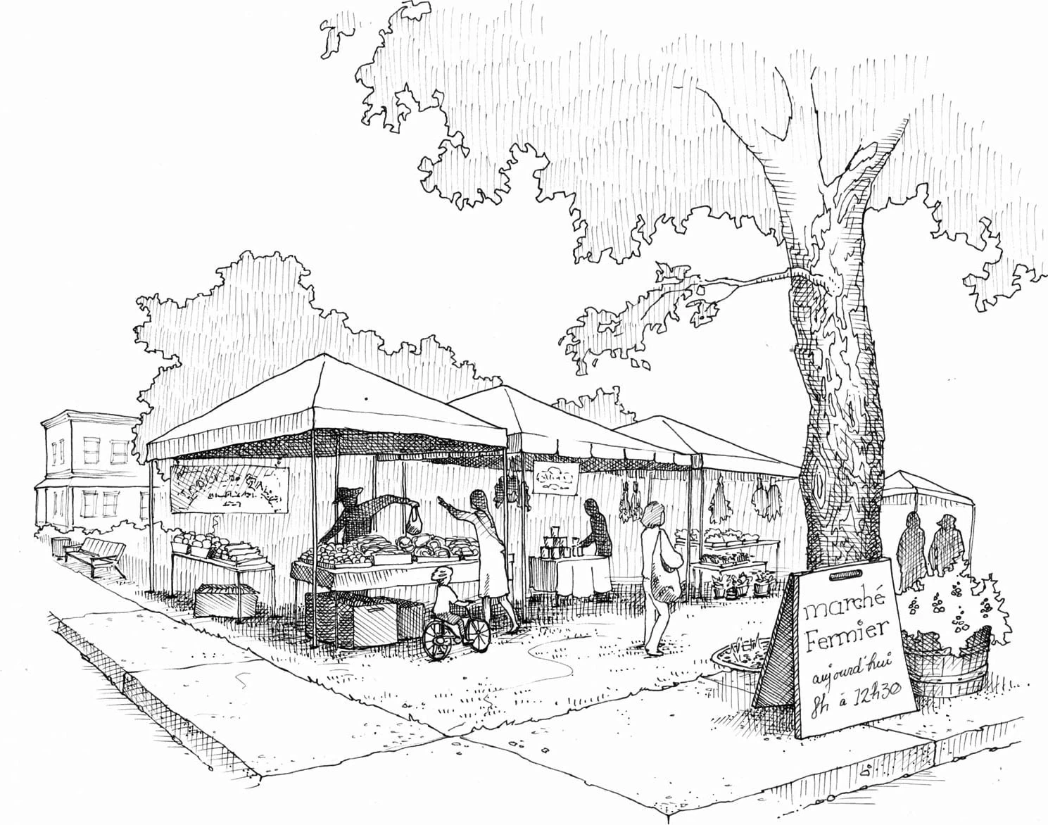 Bio-Gemüse Erfolgreich Direktvermarkten – Bild 3