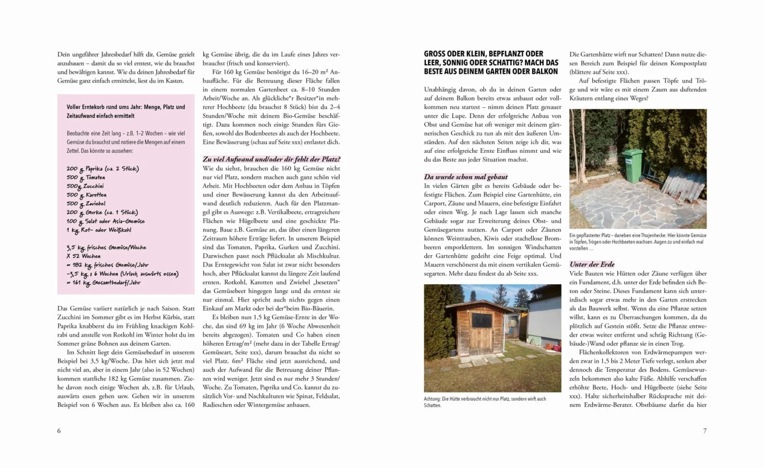 Das Phänomenale Erntebeet – Bild 8