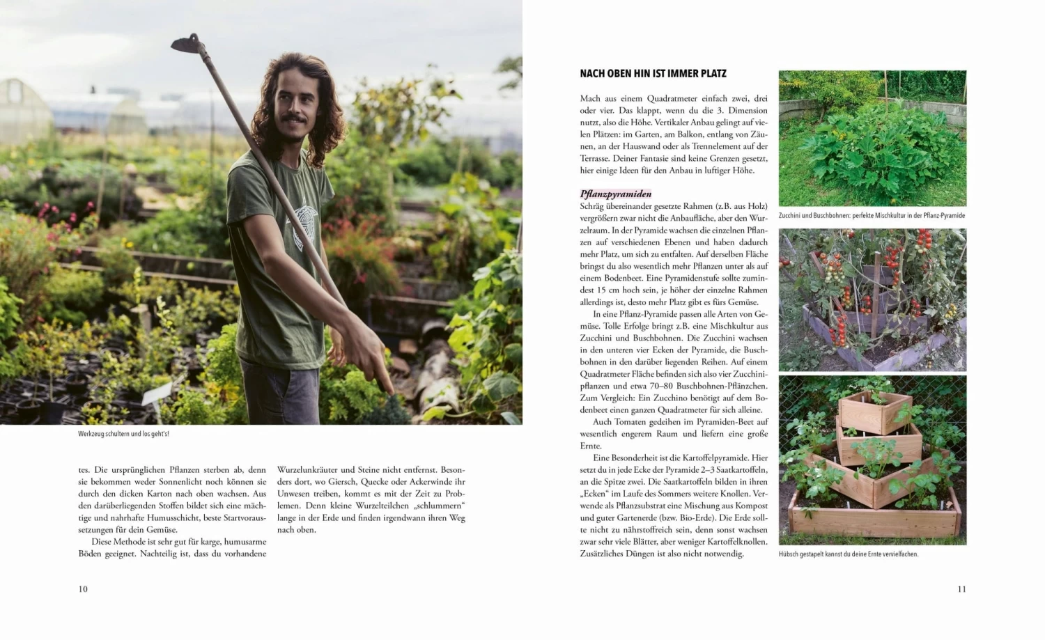 Das Phänomenale Erntebeet – Bild 5