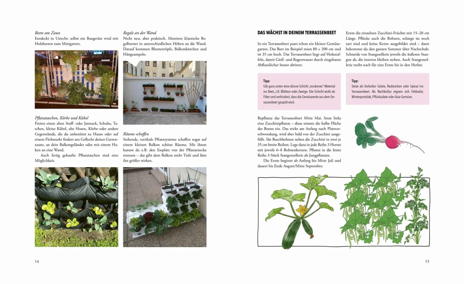 Das Phänomenale Erntebeet – Bild 6