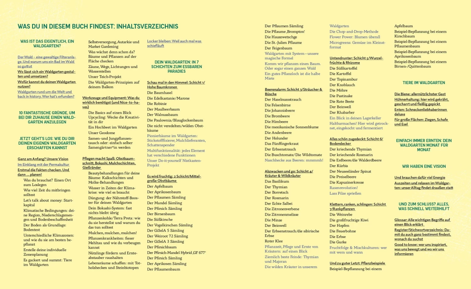 Das Prinzip Waldgarten – Bild 6