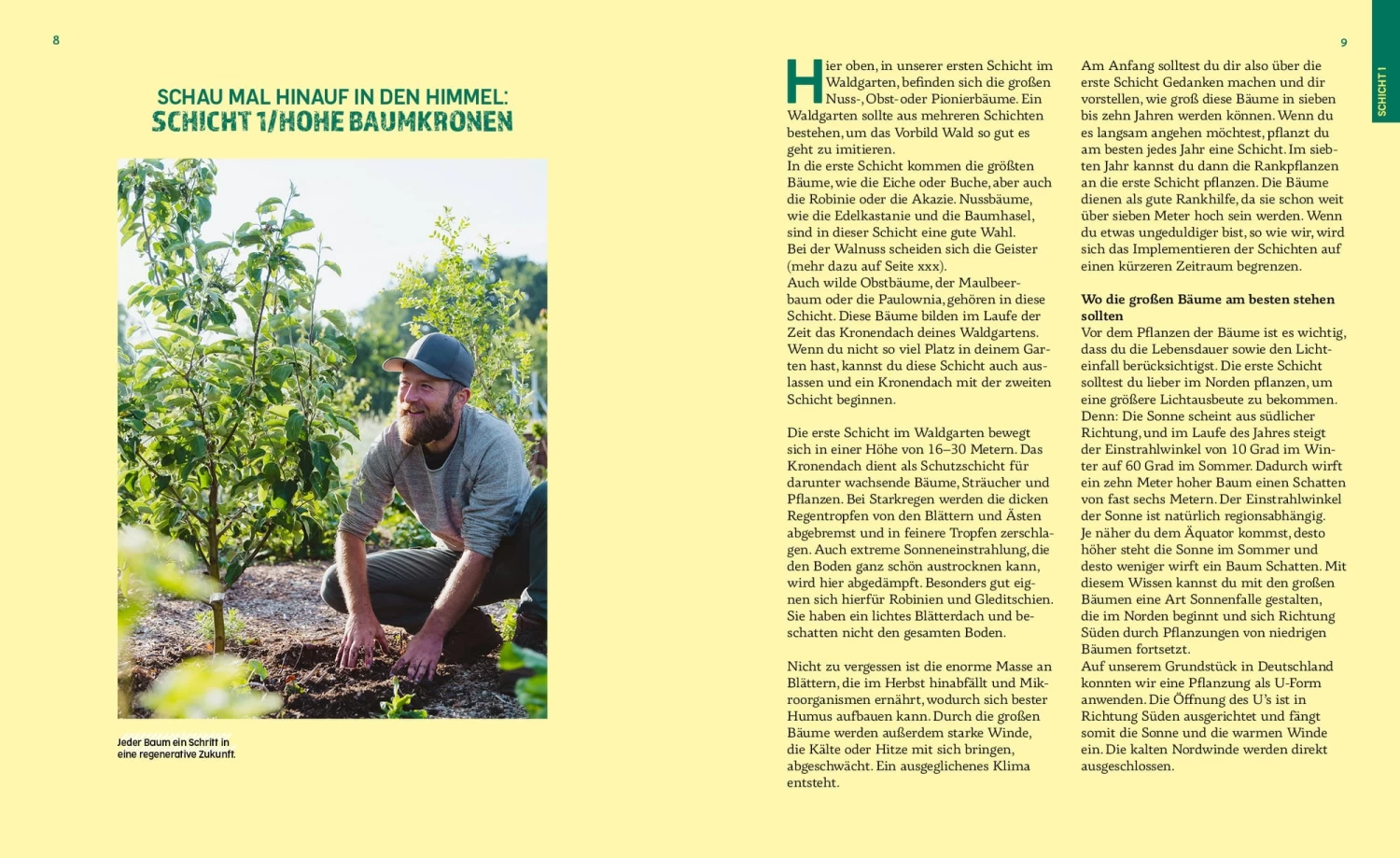 Das Prinzip Waldgarten – Bild 8