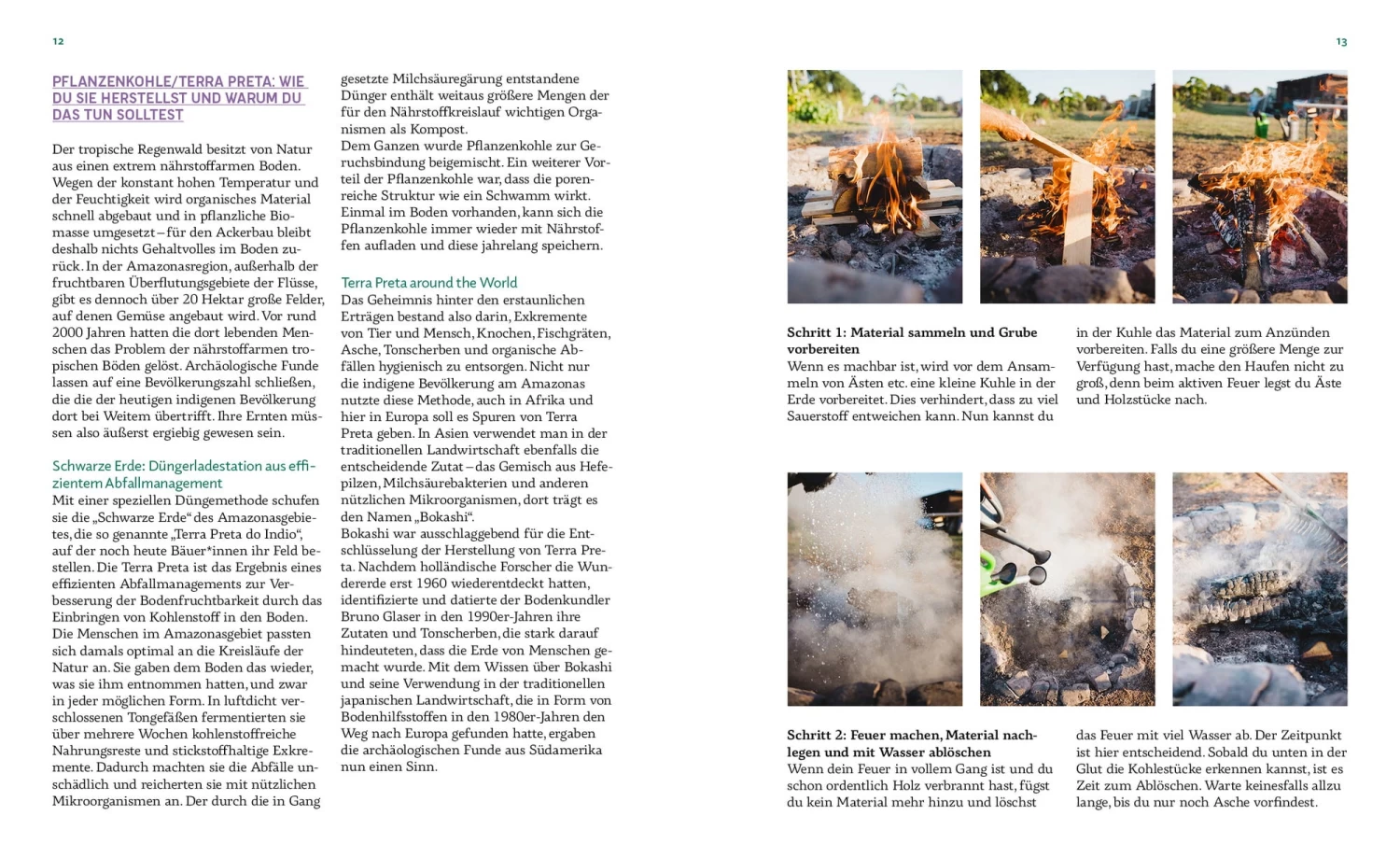 Das Prinzip Waldgarten – Bild 5