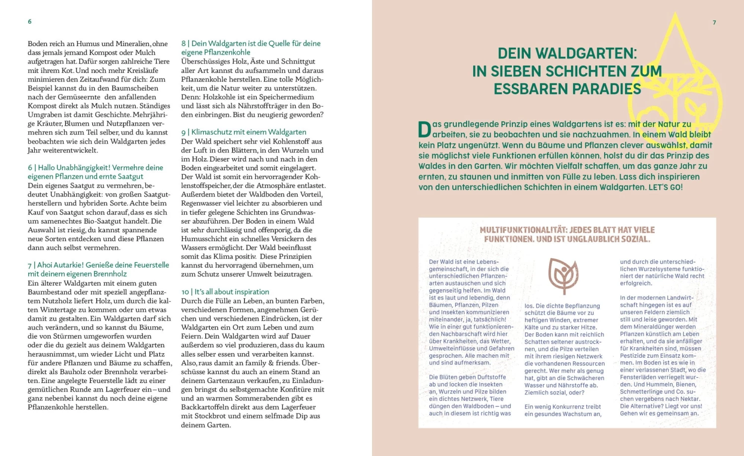 Das Prinzip Waldgarten – Bild 7