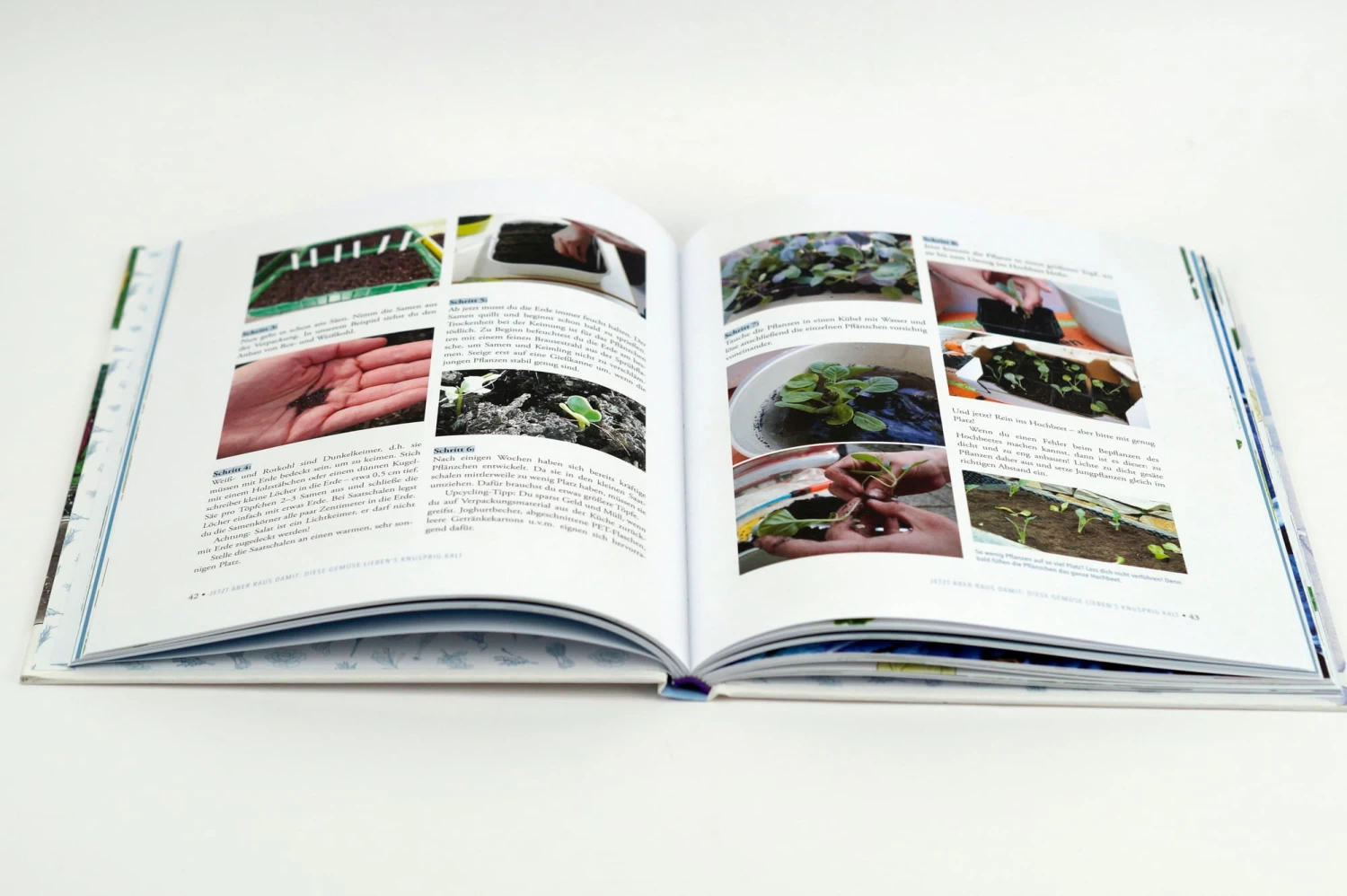 Das Sensationelle Winterhochbeet – Bild 8