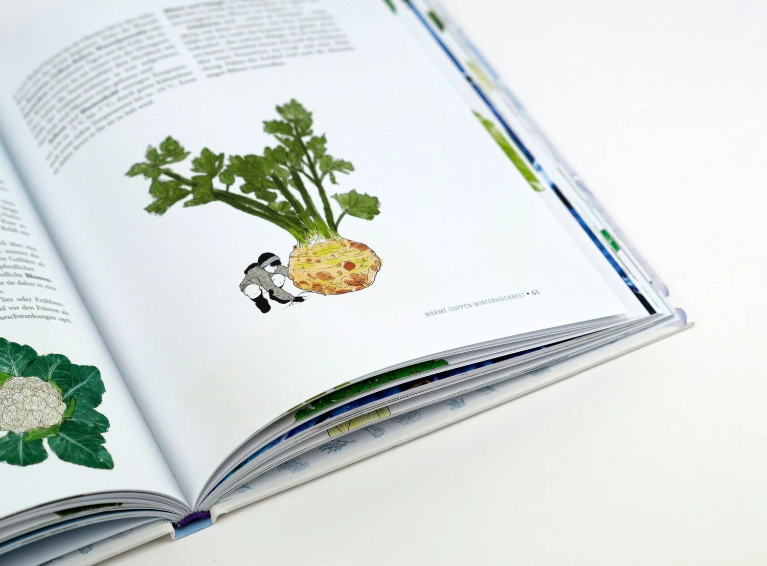 Das Sensationelle Winterhochbeet – Bild 11