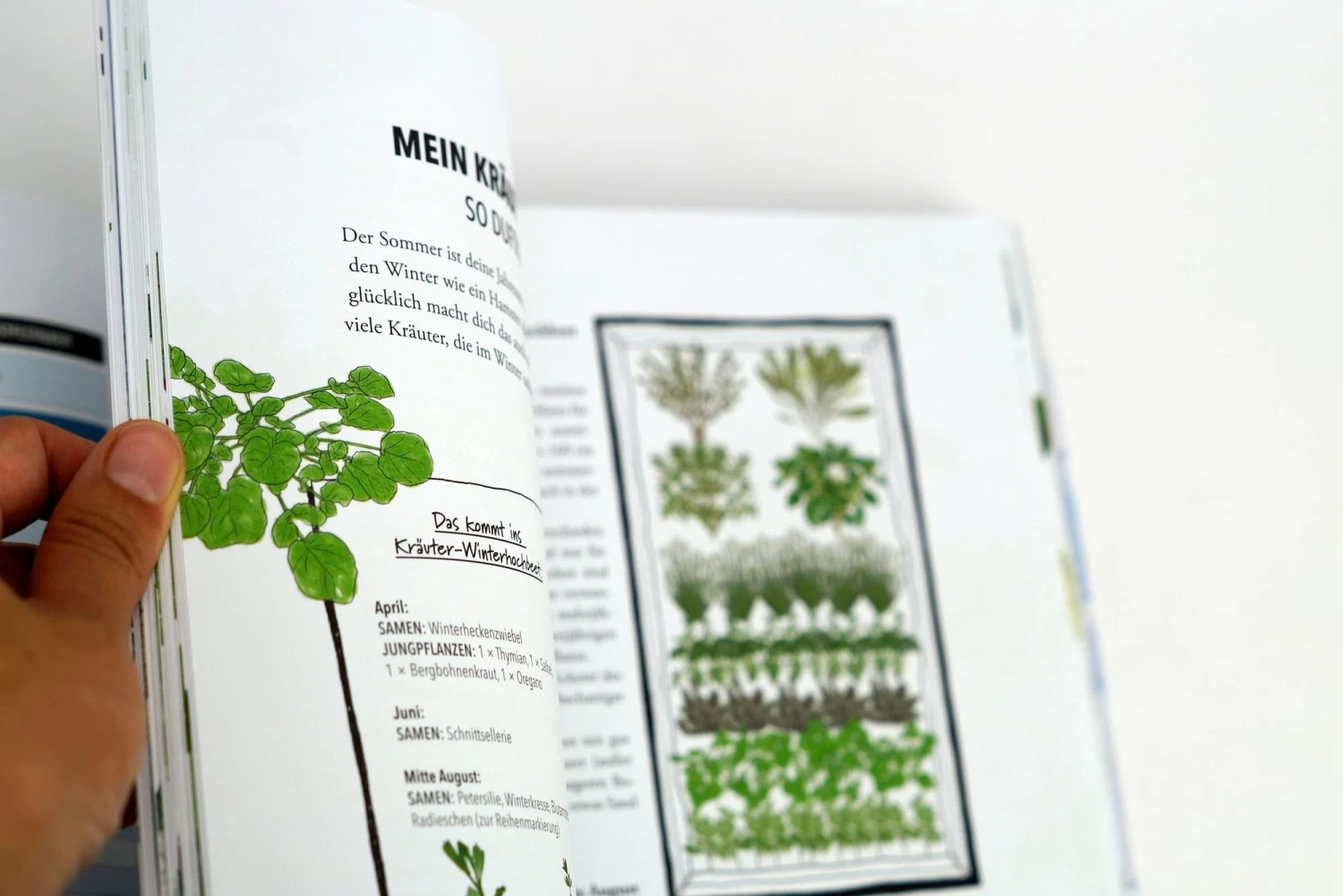 Das Sensationelle Winterhochbeet – Bild 9