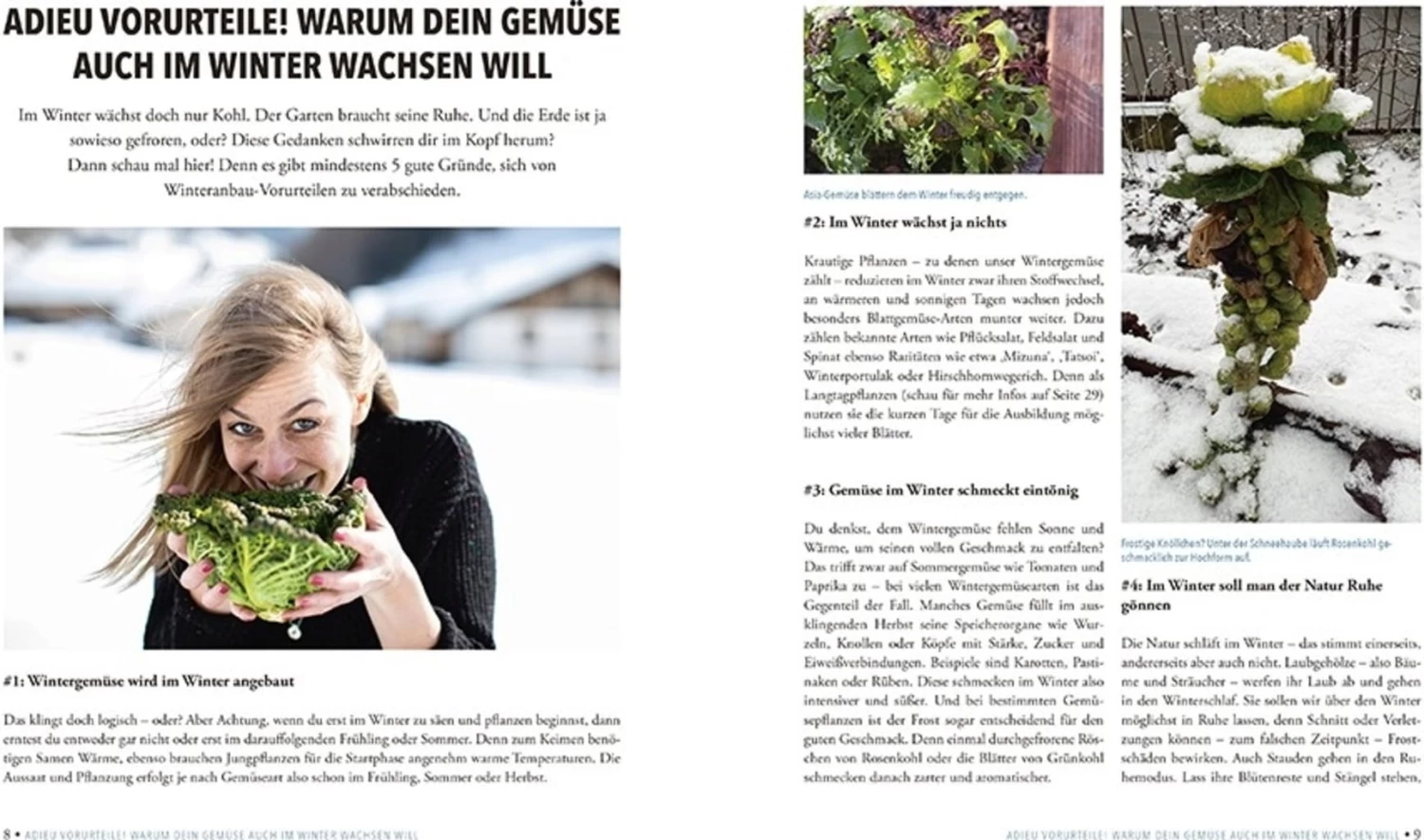 Das Sensationelle Winterhochbeet – Bild 10