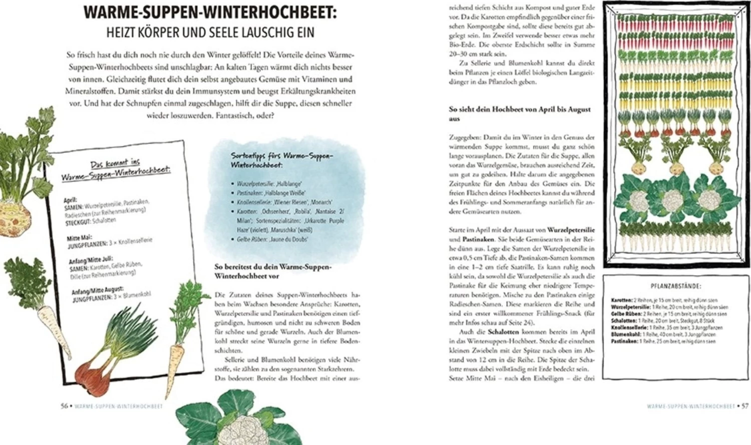 Das Sensationelle Winterhochbeet – Bild 6