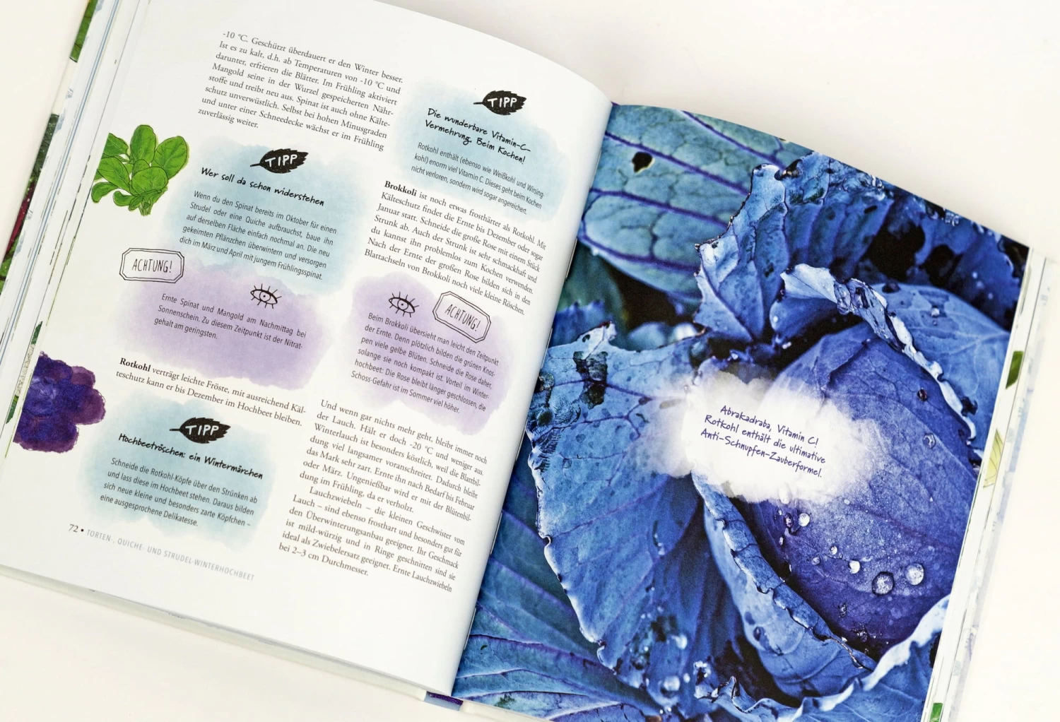 Das Sensationelle Winterhochbeet – Bild 4