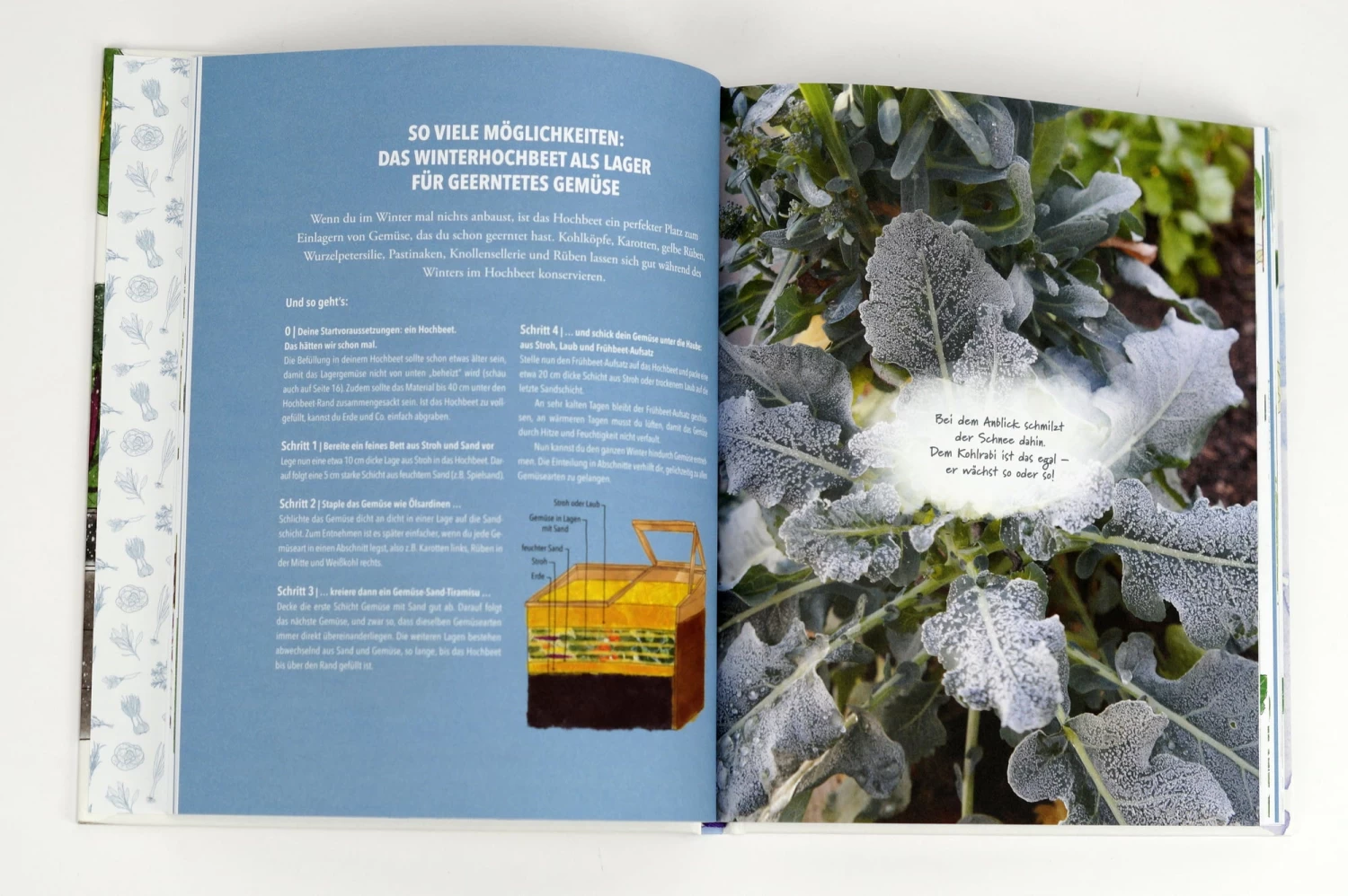 Das Sensationelle Winterhochbeet – Bild 12