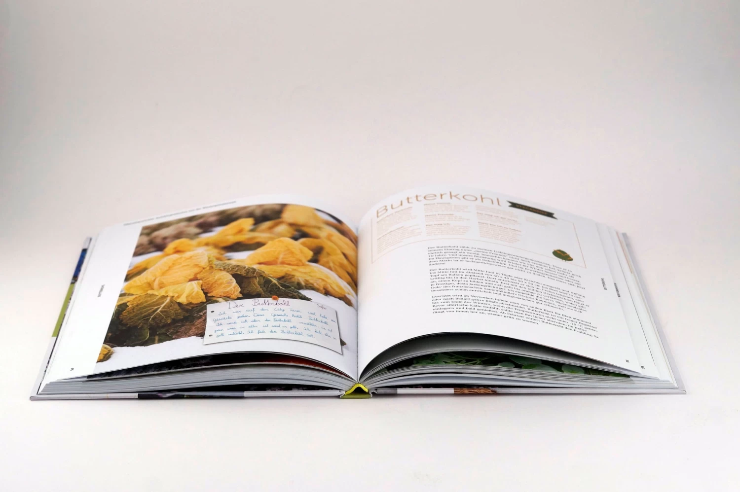 Ernte Mich Im Winter – Bild 6