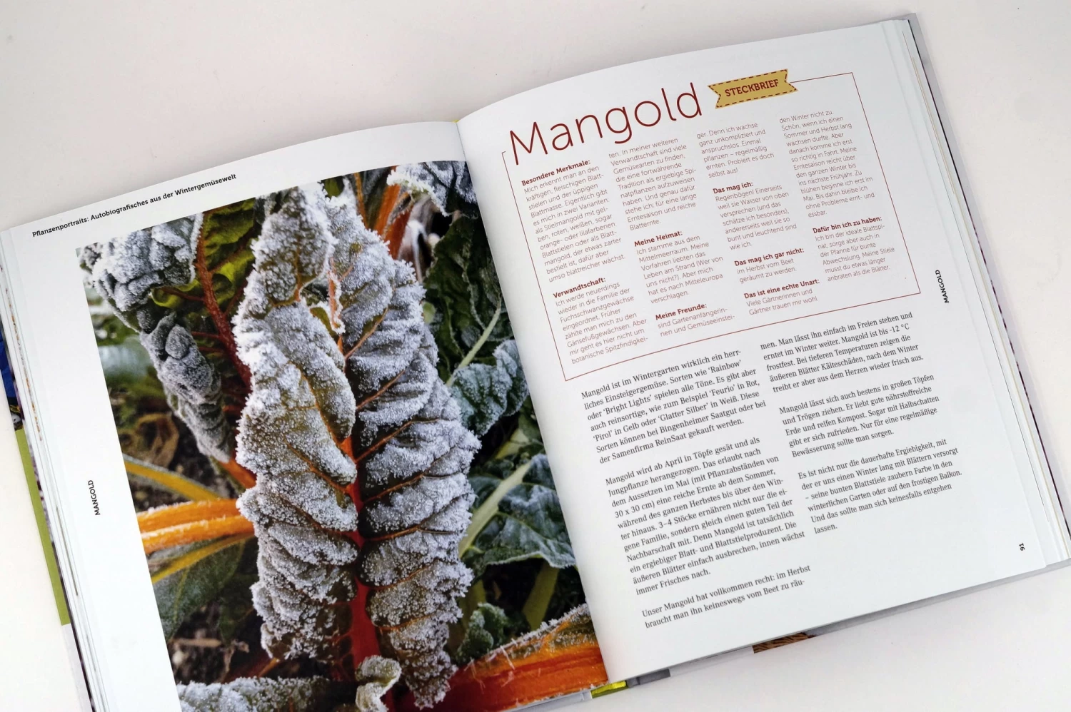 Ernte Mich Im Winter – Bild 2