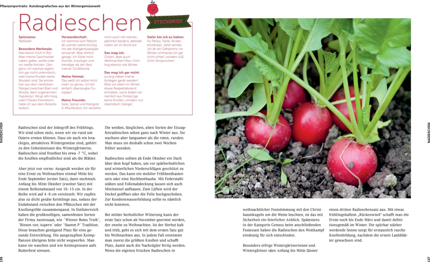 Ernte Mich Im Winter – Bild 8